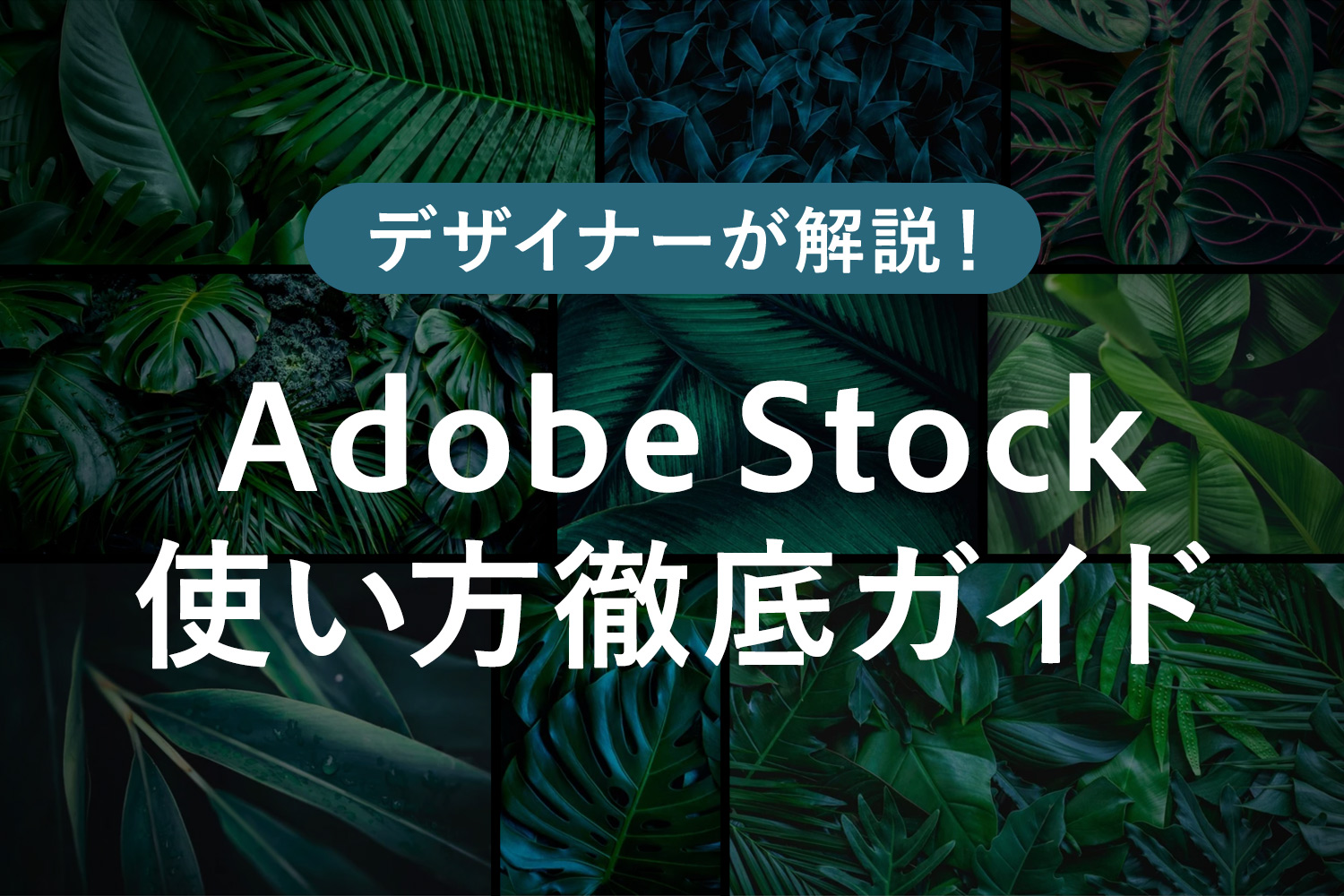 無料で商用利用可！Adobe Stocckの使い方や料金・メリットを分かりやすく解説