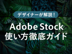 無料で商用利用可！Adobe Stocckの使い方や料金・メリットを分かりやすく解説